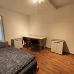 Appartement Schoene 4 Raum, 4 - 7 Bett In *